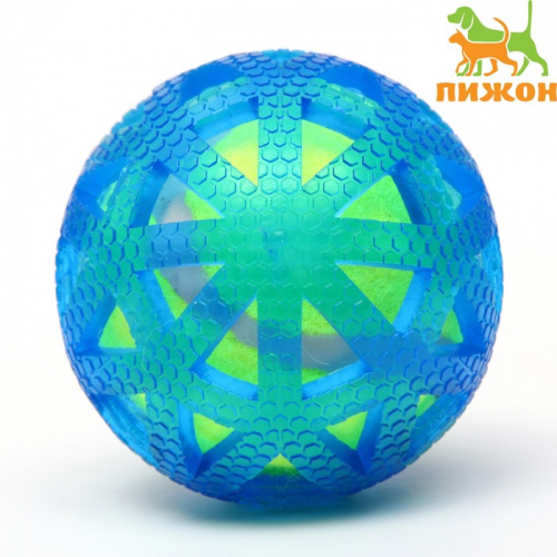 Мяч для собак 