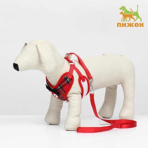 Комплект с мягкой шлейкой и бантиком 