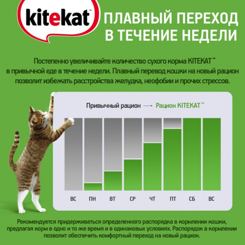 Влажный корм KiteKat  для кошек, нежный кролик, 85 г