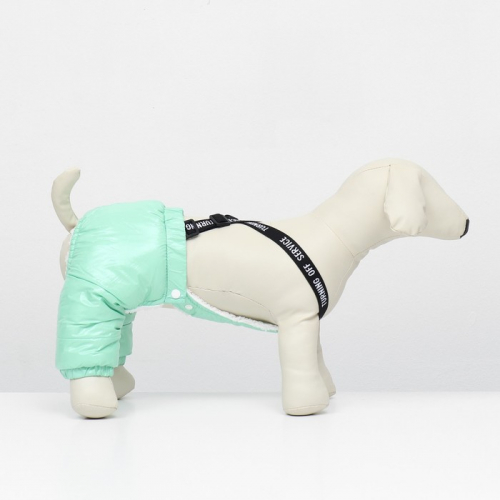 Комбинезон-штаны для собак,  размер XS (ДС 26, ОТ 28 см), мятный
