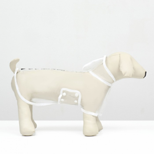 Дождевик для собак, размер XS (ДС 18, ОГ 25-30, ОШ 25 см), белый