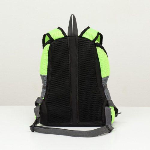 Рюкзак-переноска для животных, максимальный вес 10 кг, 30 х 16 х 34 см, зелёный