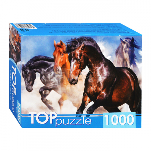 Пазлы 1000 TOPpuzzle 