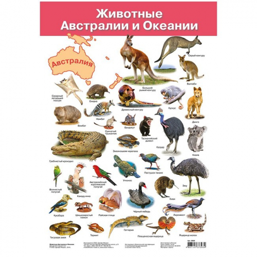 Плакат Животные Австралии и Океании 2858 в Нижнем Новгороде