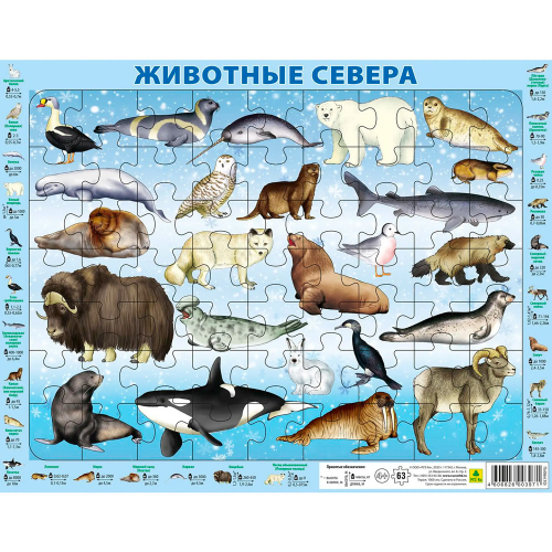 Пазл 63 Животные Севера Пл06п(10) в Нижнем Новгороде