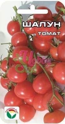 Томат Шалун (20 шт) Сибирский Сад