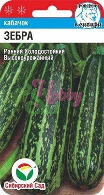 Кабачок Зебра (5 шт) Сибирский Сад