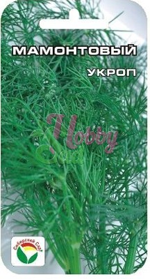 Укроп Мамонтовый (1 г) Сибирский Сад