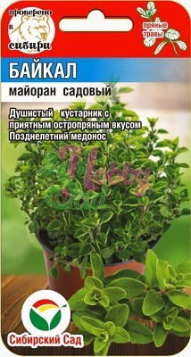 Майоран Байкал (0,1 г) Сибирский Сад