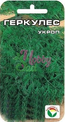 Укроп Геркулес (2 г) Сибирский Сад
