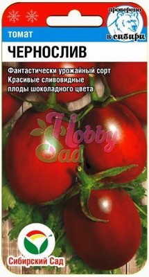 Томат Чернослив (20 шт) Сибирский Сад