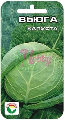 Капуста Вьюга белокочанная (0,3 гр) Сибирский Сад