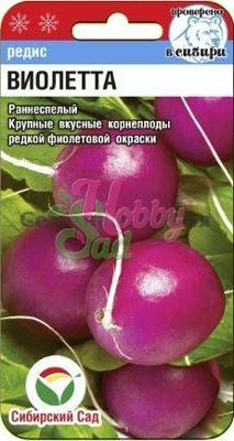 Редис Виолетта (2 г) Сибирский Сад