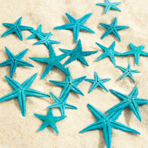 Набор натуральных морских звезд,  1,5 - 2,5 см, 20, синий