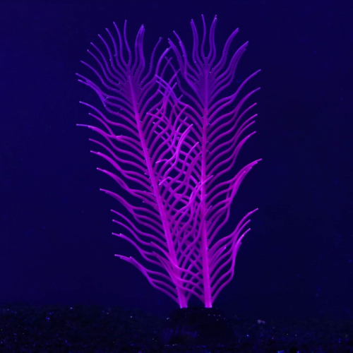 Растение силиконовое аквариумное, светящееся в темноте, 6,5 х 18 см, фиолетовое