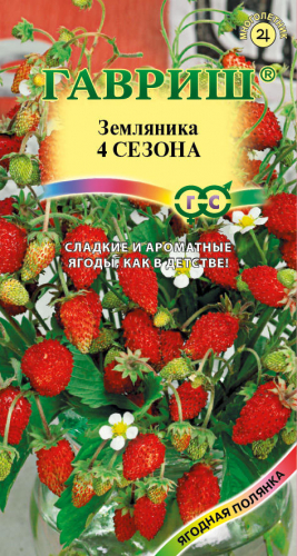 ягоды Земляника Четыре сезона 0,03 г ц/п Гавриш (ремонтантная, безусая)