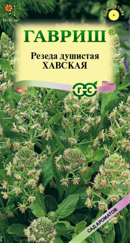 Цветы Резеда Хавская душистая 0,1 г ц/п Гавриш (однол.)