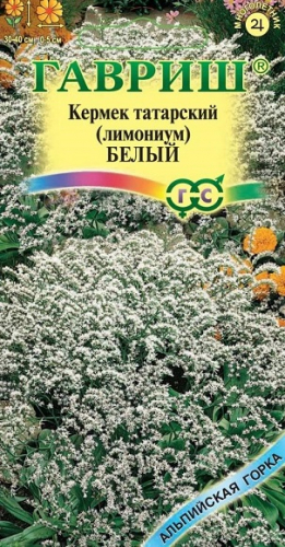 Цветы Кермек татарский (лимониум) Белый 0,05 г ц/п Гавриш (мног.)
