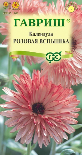 Цветы Календула Розовая вспышка 0,2 г ц/п Гавриш (однол.)