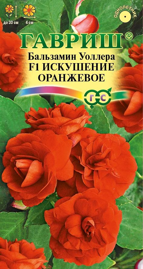 Цветы Бальзамин махр. Искушение Оранжевое F1 (Уоллера) 4 шт ц/п Гавриш (однол.)