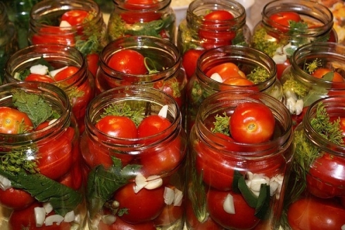 смесь трав и приправ для соления томатов 20 гр.