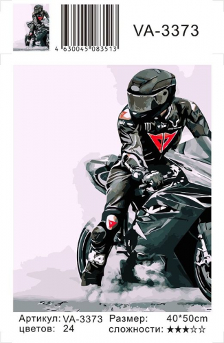 Картины по номерам Мотоциклист