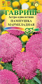 Цв. Астра Пампушка мармеладная 0,3 г ц/п Гавриш