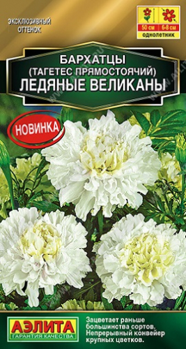 Цветы Бархатцы пр. Ледяные великаны 7 шт ц/п Аэлита (40-50 см)