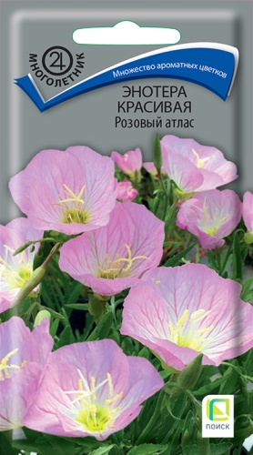 Цветы Энотера красивая Розовый атлас 0,05 г ц/п Поиск (мног.)