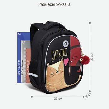 RAz-386-9 Рюкзак школьный