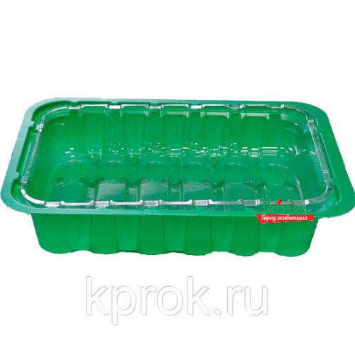 Парник под торфяные таблетки (24 места) /100 шт Россия