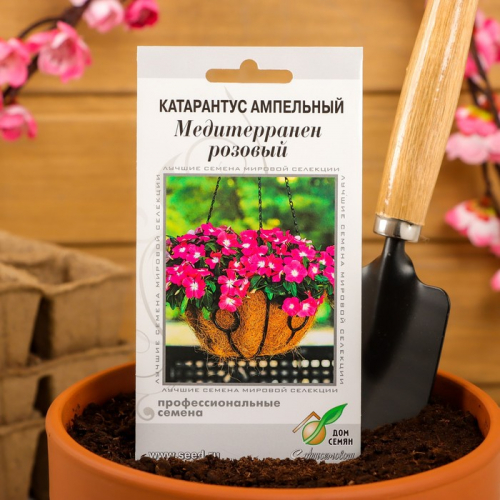 Семена цветов  Катарантус амп. Медитерранен, розовый ,7