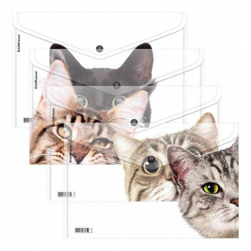 Папка-конверт на кнопке Cats, A4, ассорти