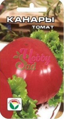 Томат Канары (20 шт) Сибирский Сад