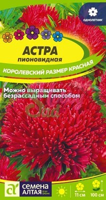 Цветы Астра Королевский размер Красная (0,2 гр) Семена Алтая
