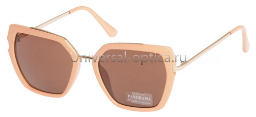 22108 солнцезащитные очки Endless Panorama col. 1