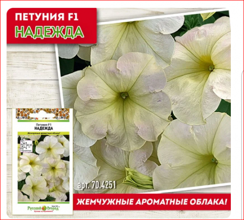 Петуния Надежда  F1 (15 шт)