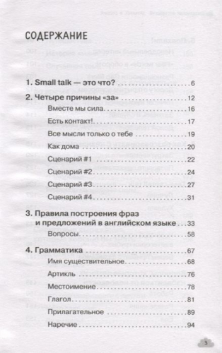 Анна Фейк: ХУЛИганский английский. Заткнись и слушай