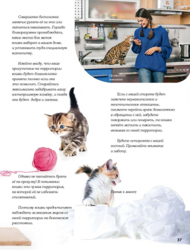 Ольга Соколова: Домашние питомцы и кто за них в ответе