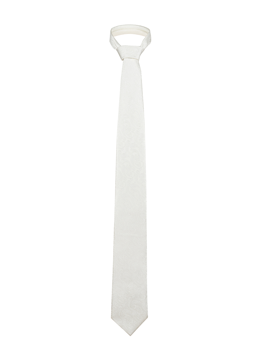 Галстук мужской с платком CARPENTER Carpenter-poly 8-св.беж 402.1.20