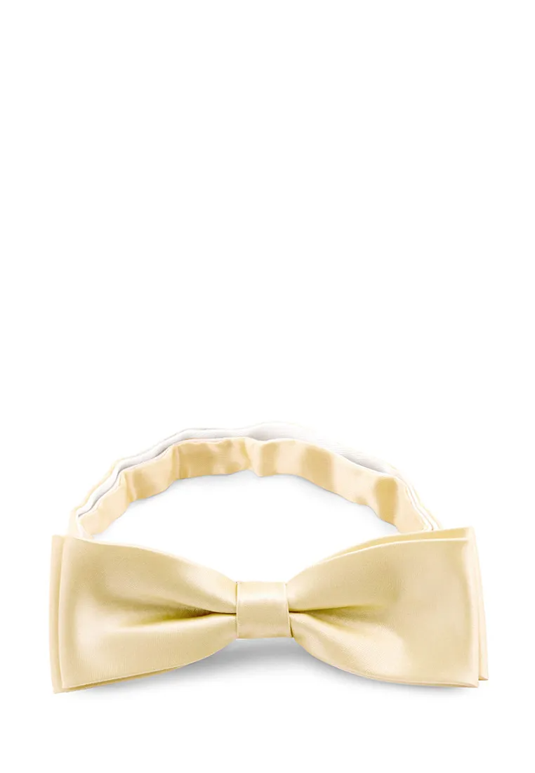 Галстук-бабочка мужской GREG Greg-poly 17-св.желтый одн.1.104