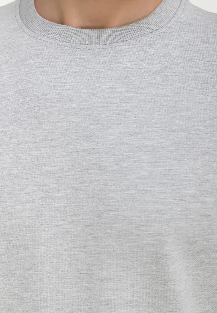 Свитшот мужской GREG G121-OZ02-28 (св.серый м.)