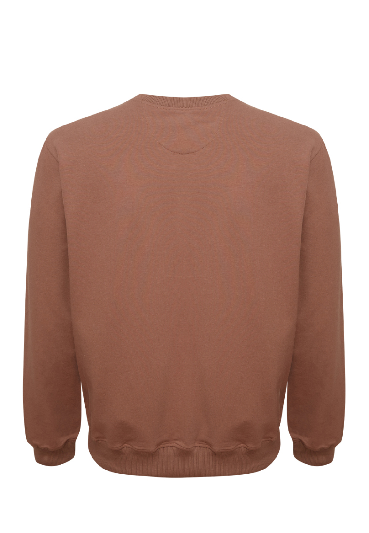 Свитшот мужской GREG G121-OZ02-02 (кофейный)