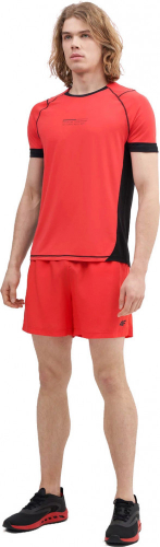 Шорты мужские SHORTS FNK  M148, 4F