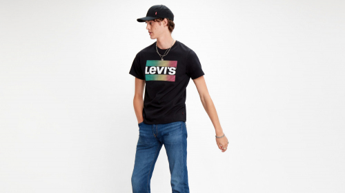 Футболка мужская Sportswear Logo Graphic, LEVIS