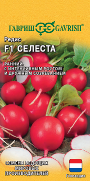 Редис Селеста F1 0,5 г ц\п Гавриш (Голландия),(посев весна-лето)