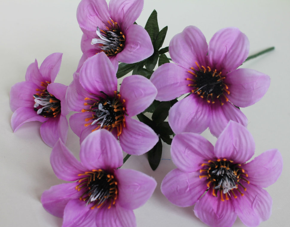 Б11062 Б/С Букет анемона 6гол.