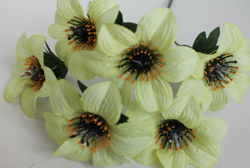 Б11062 Б/С Букет анемона 6гол.