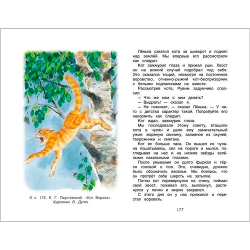 Книга 978-5-353-06943-0 Хрестоматия для внеклассного чтения 2 класс в Нижнем Новгороде