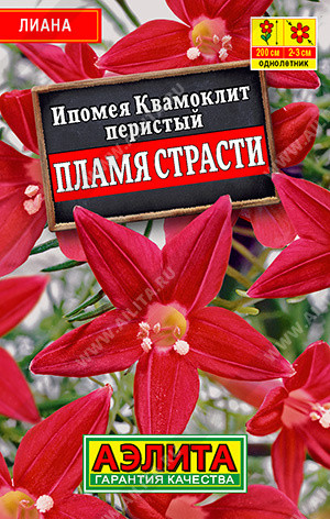 1994 Ипомея Квамоклит Пламя страсти 15 шт